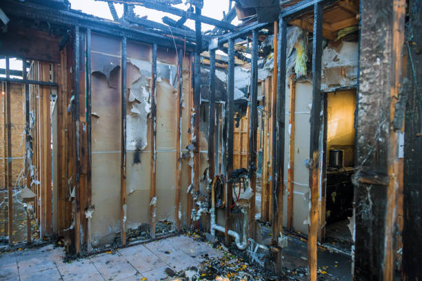 Professional Fire Damage Assessment technician working in University City, MO